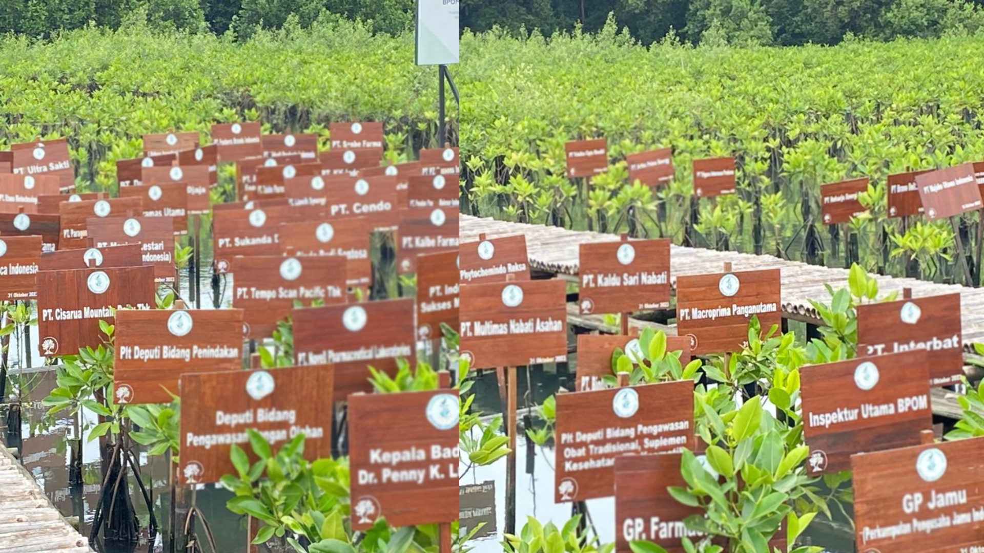 CSR